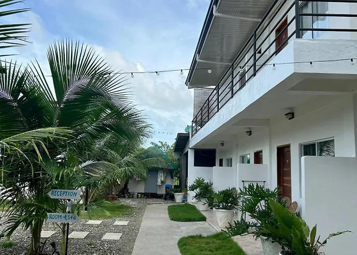 Coconut 몰볼